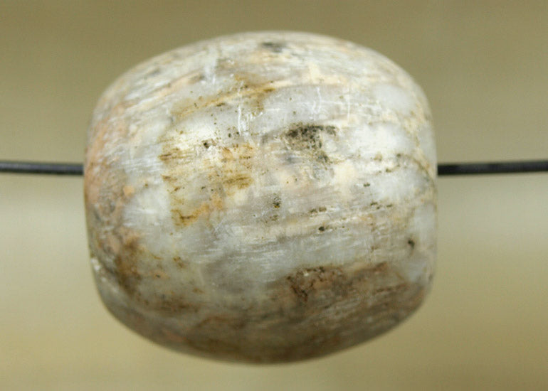 coral fossil beads
