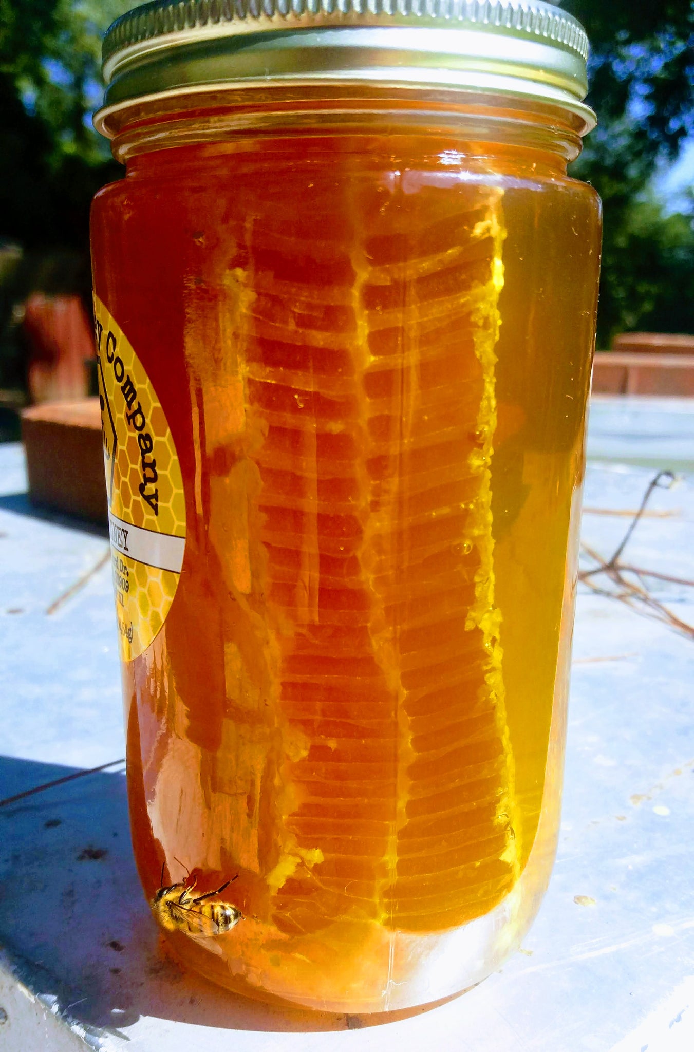 Chunk Honey Comb Augusta Honey Company 