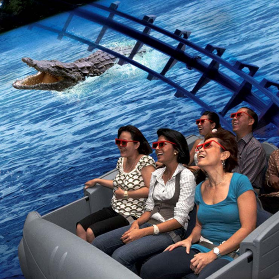 4d travel experience