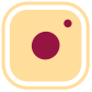 instagram icon