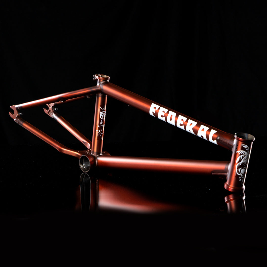 federal bmx frame - Boyd hilder 18 ince bmx frame - matt trans brown