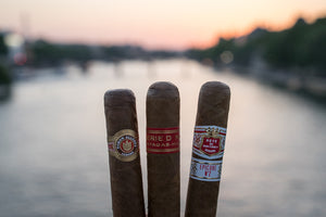 Robusto Cigars: An Aficionado's Favourite Format