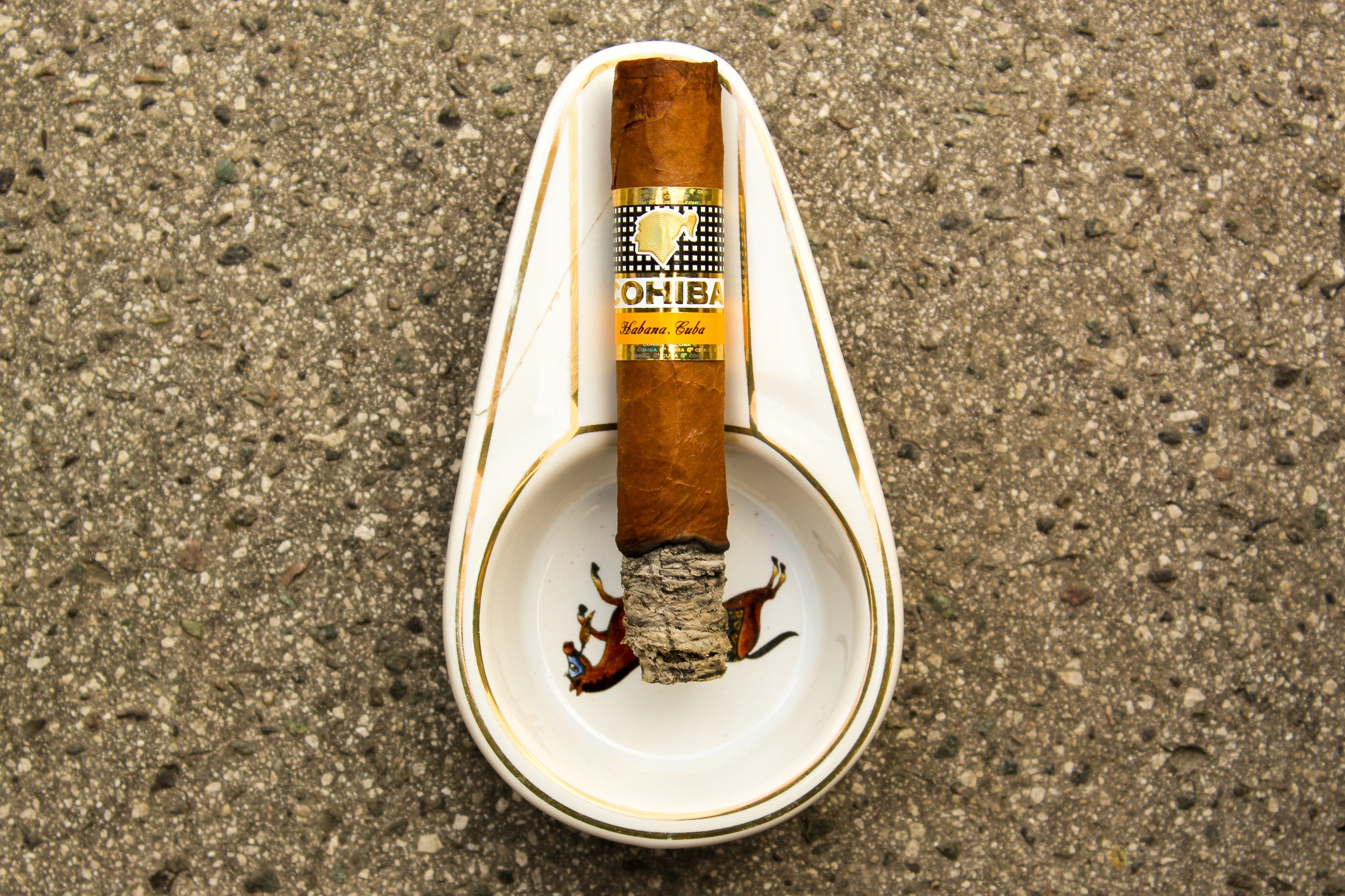 Cohiba Siglo I after being lit