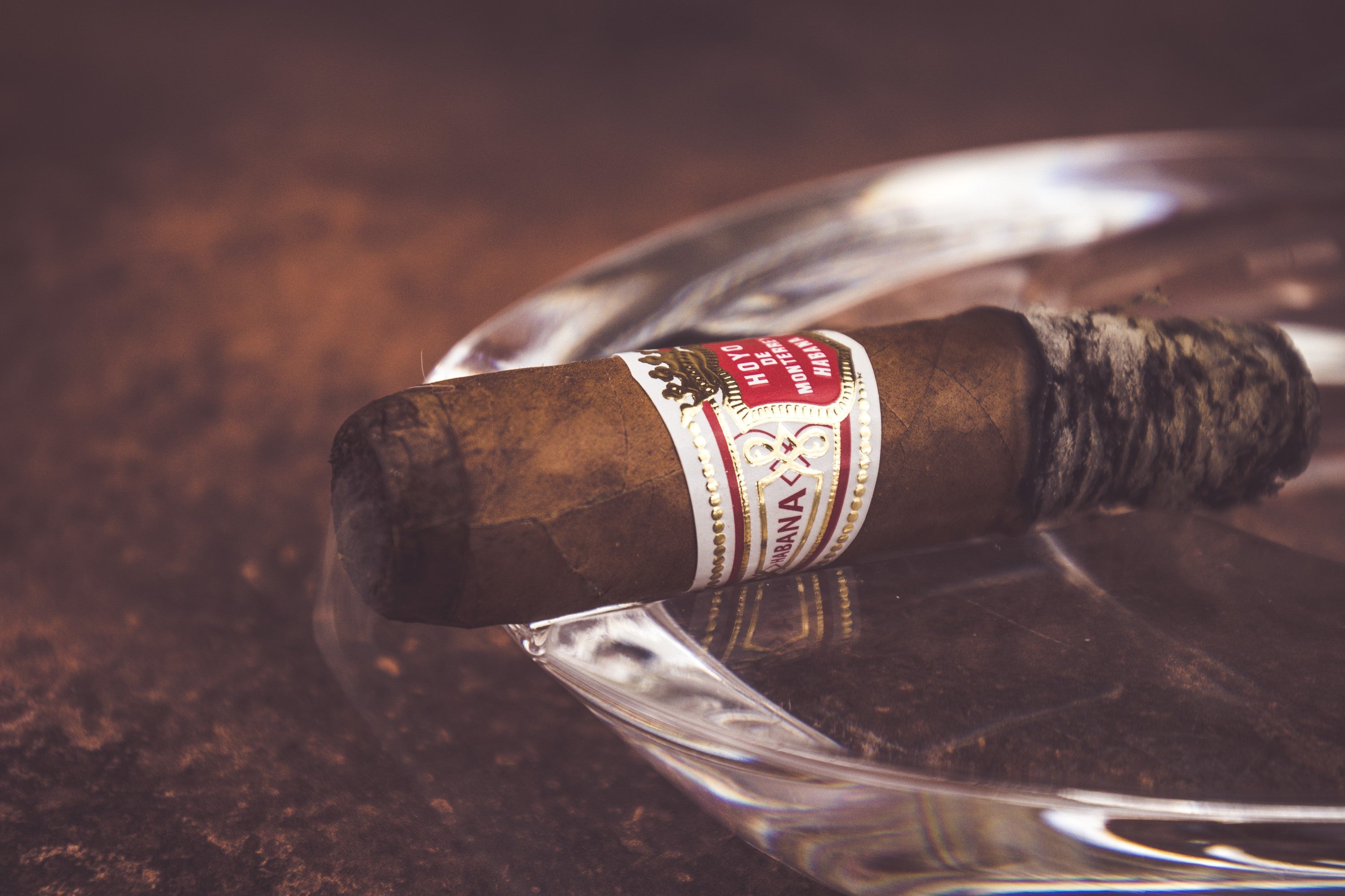 Ash clings to the end of a Hoyo de Monterrey Petit Robusto