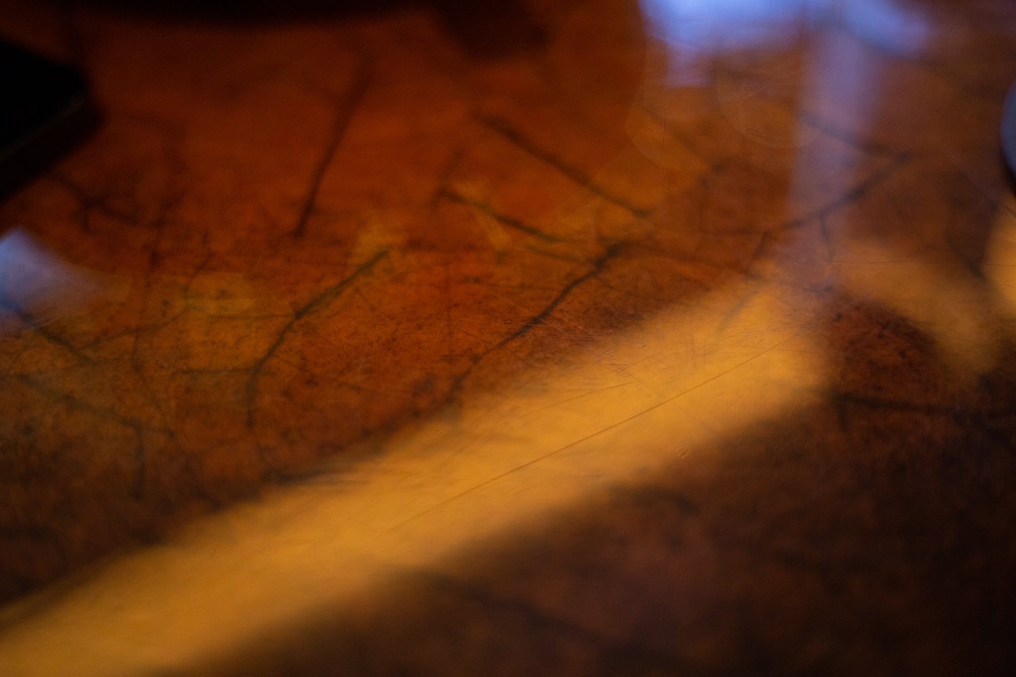 Actual tobacco leaves adorn the tables in Oscuro.