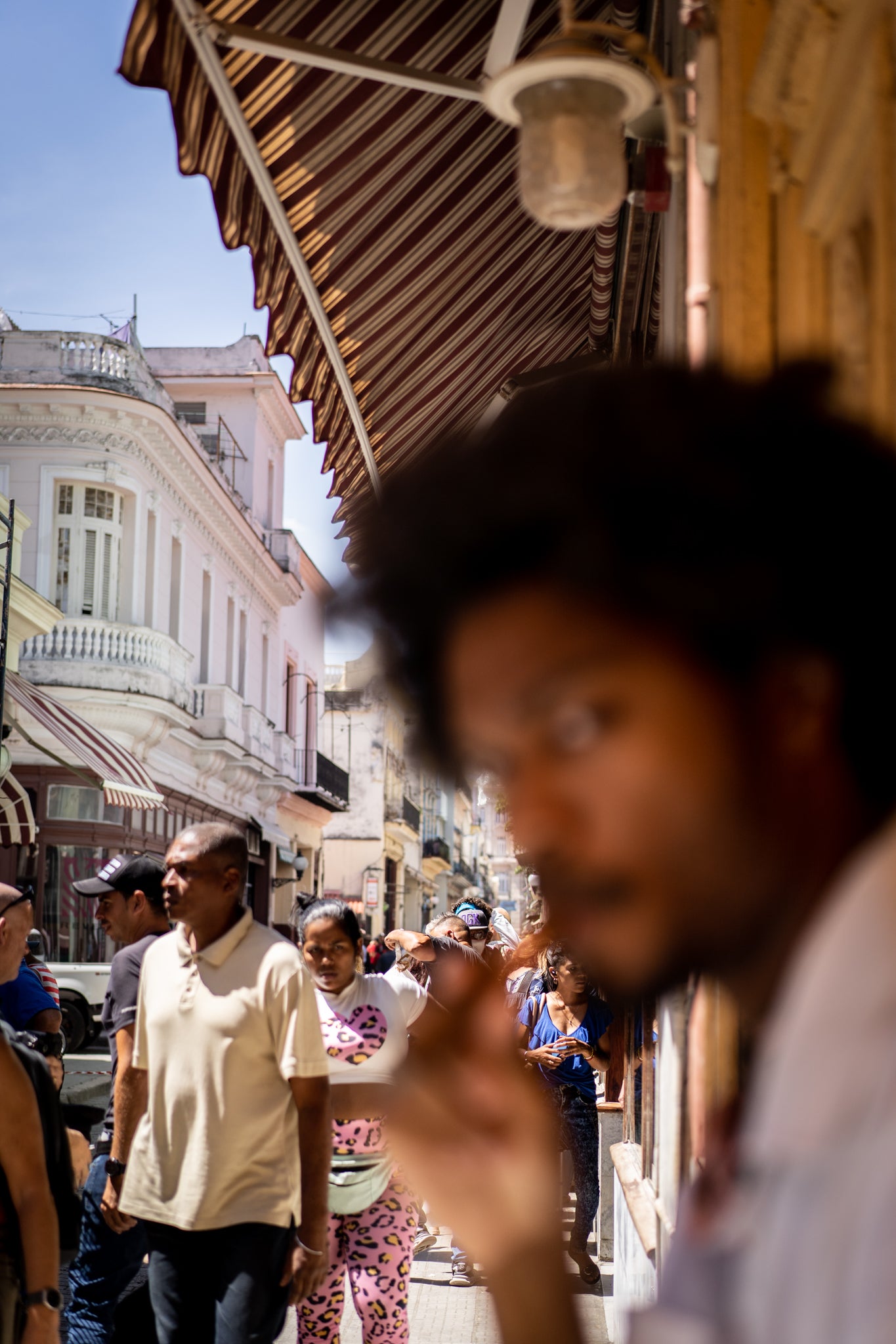 EGM Edição Limitada Guayabera