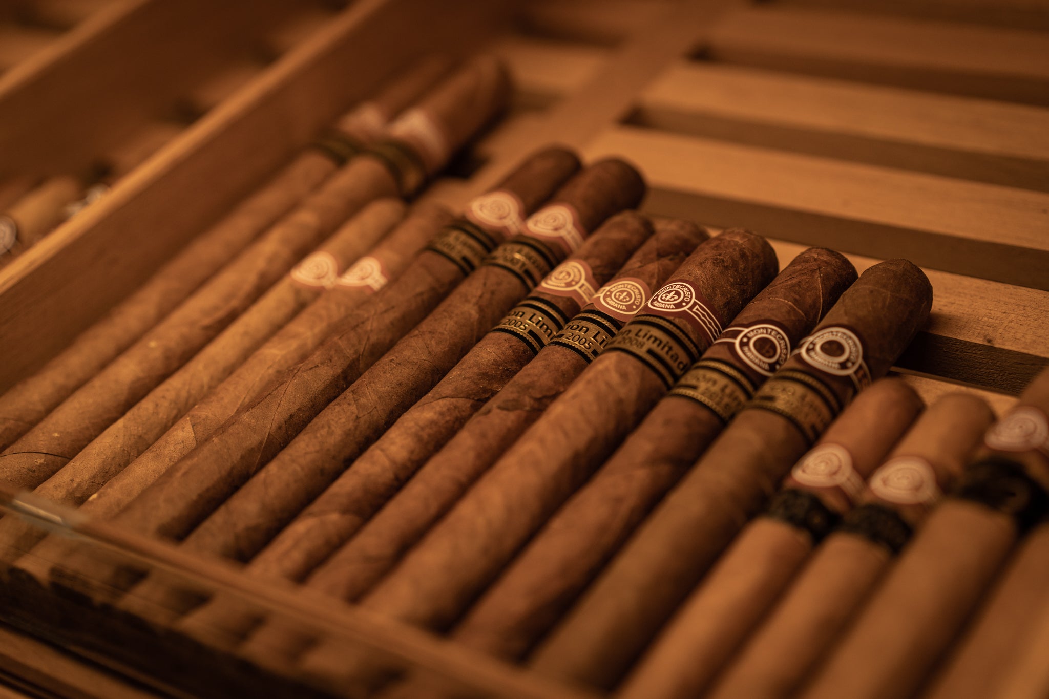 Oscuro's Humidor at The Arts Club