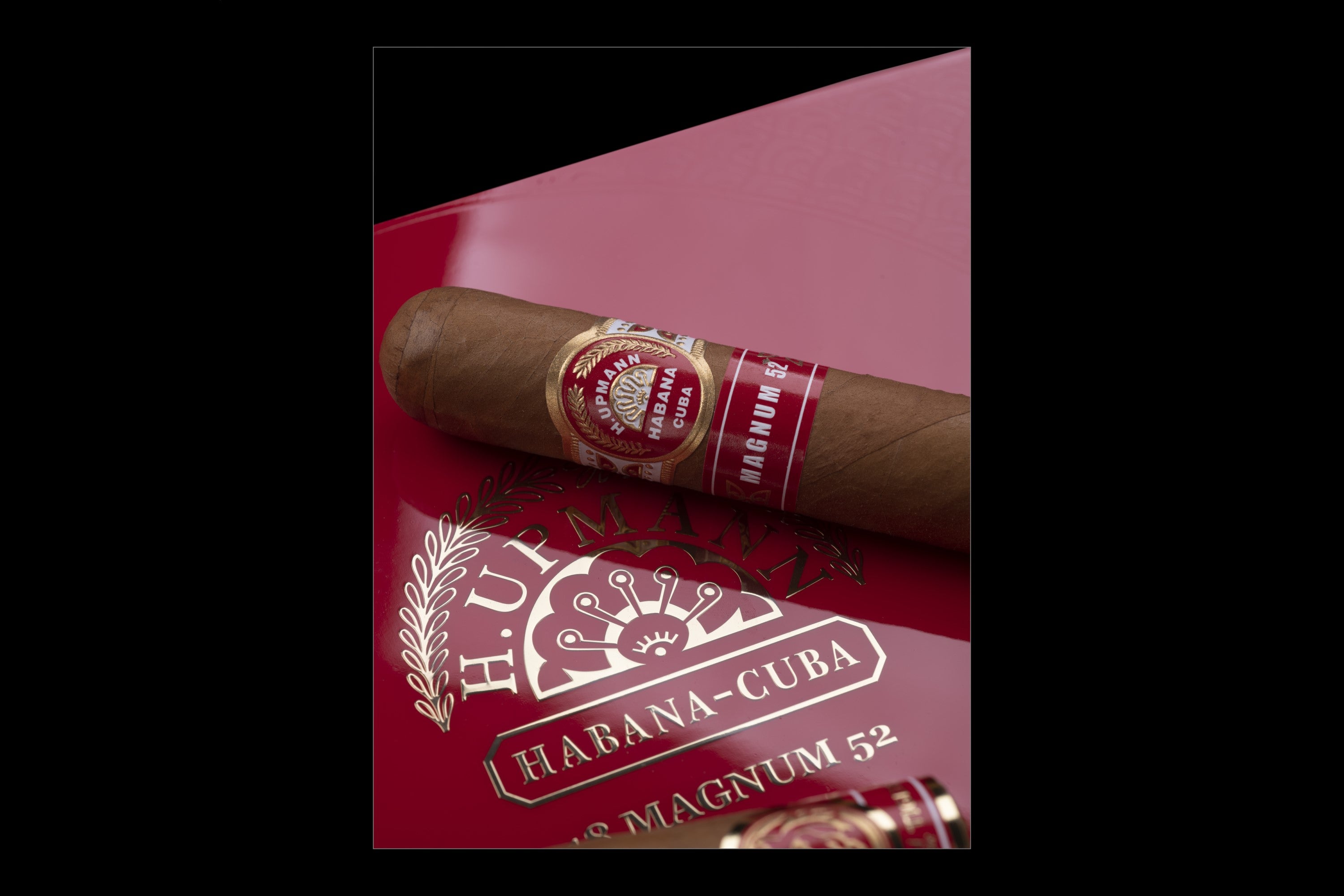 A banda especial do H Upmann Magnum 52 Ano do Tigre