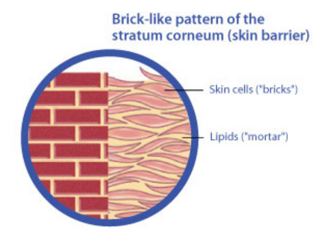 brickmortar