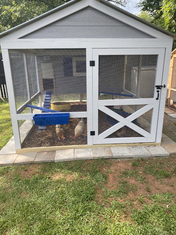 Brees chicken coop