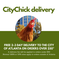 CityChick delivers!