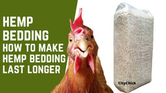 CityChick hemp bedding