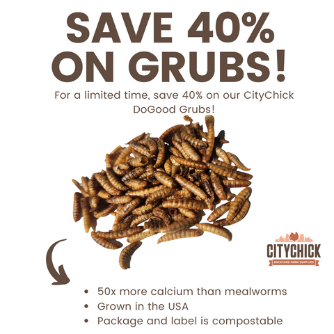 CityChick DoGood Grubs