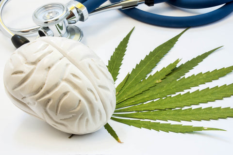 CBD for Brain Performance