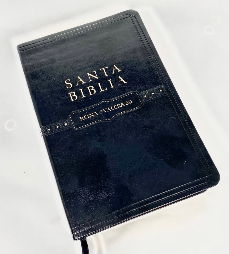 biblia reina valera 1960 en espanol