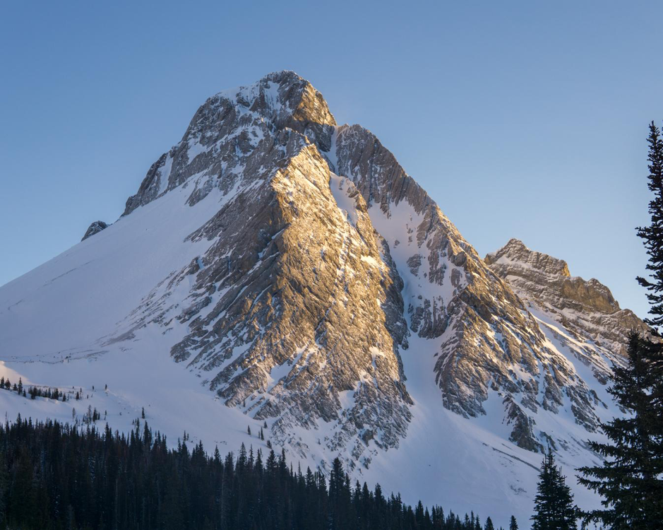 Mt Birdwood Couloir from the approach to NW face of Sir Douglas