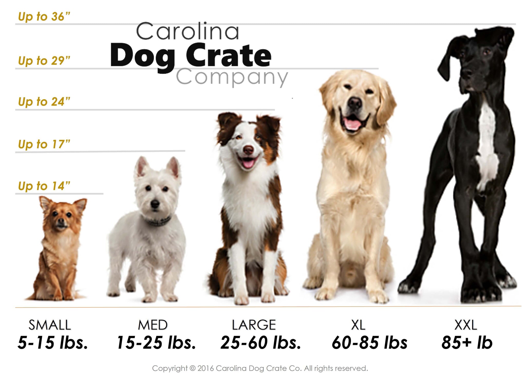 dog kennel and crate size chart