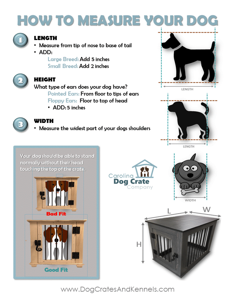 How to measure your dog handy-dandy infographic. What size dog crate or kennel do I need?