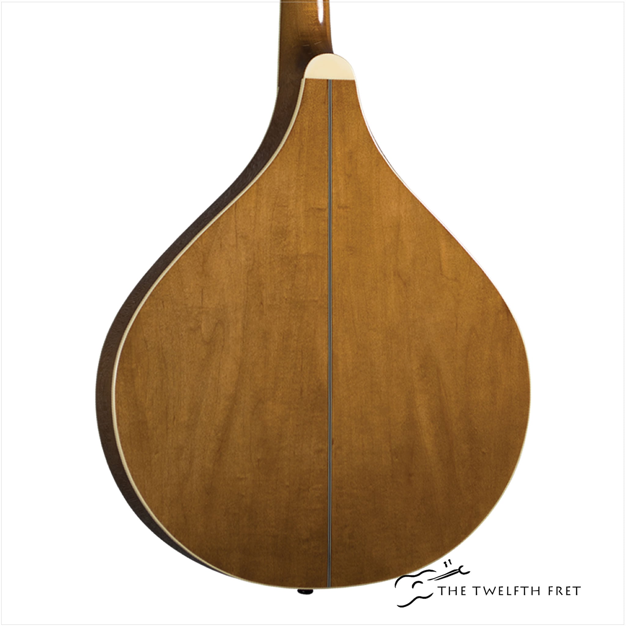 Trinity College TM-325 Standard Celtic Octave Mandolin – Natural Top - Saga  Music