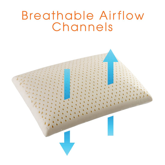 https://cdn.shopify.com/s/files/1/2091/6511/products/cheer-collection-latex-memory-foam-pillow-558030_550x.jpg?v=1671779986