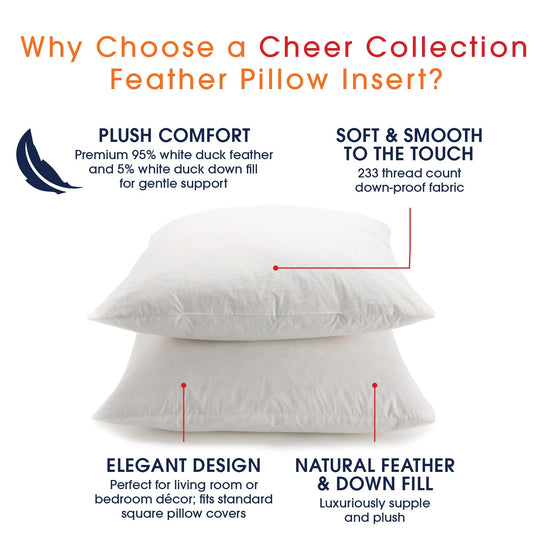 https://cdn.shopify.com/s/files/1/2091/6511/products/cheer-collection-set-of-2-down-and-feather-throw-pillow-insert-square-couch-cushion-pillow-form-sham-stuffer-304524_550x.jpg?v=1678210365