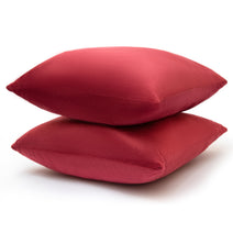 Cheer Collection Velour Throw Pillows - Set of 2 Decorative Couch Pillows - 22