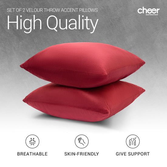 Cheer Collection Velour Throw Pillows - Set of 2 Decorative Couch