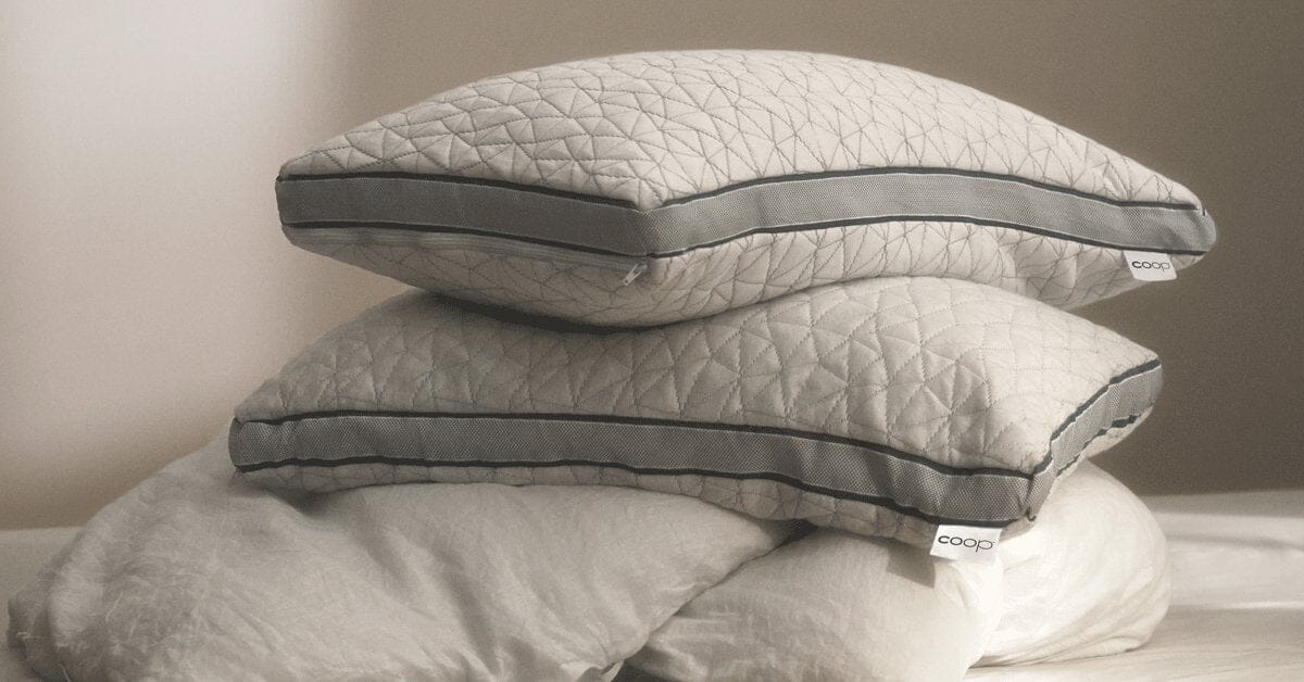 Coop Home Goods Eden King Bed Pillows 