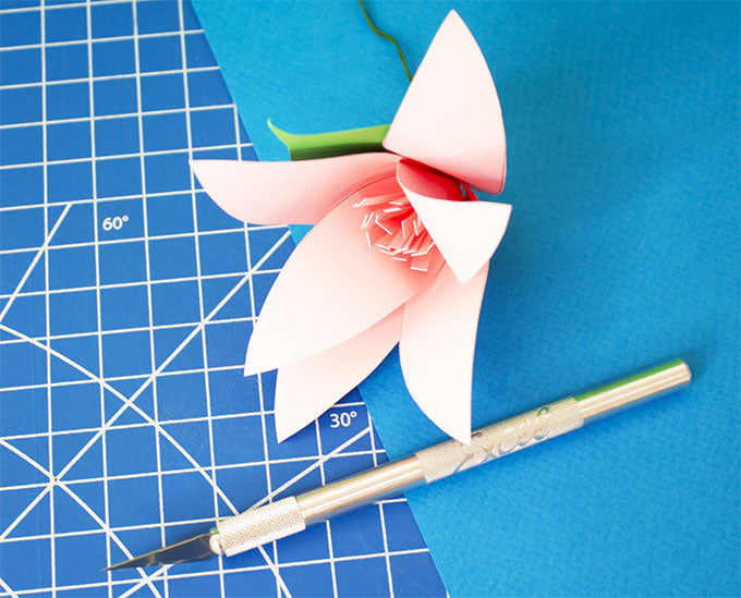 Paper Flower Project