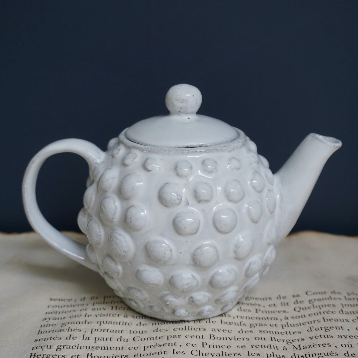 Astier de Villatte Small Adelaide Teapot – Lily Pond