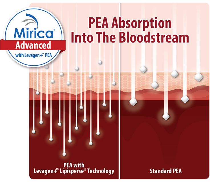 Graph showing superior absorption of Mirica Advanced compared to standard PEA supplements
