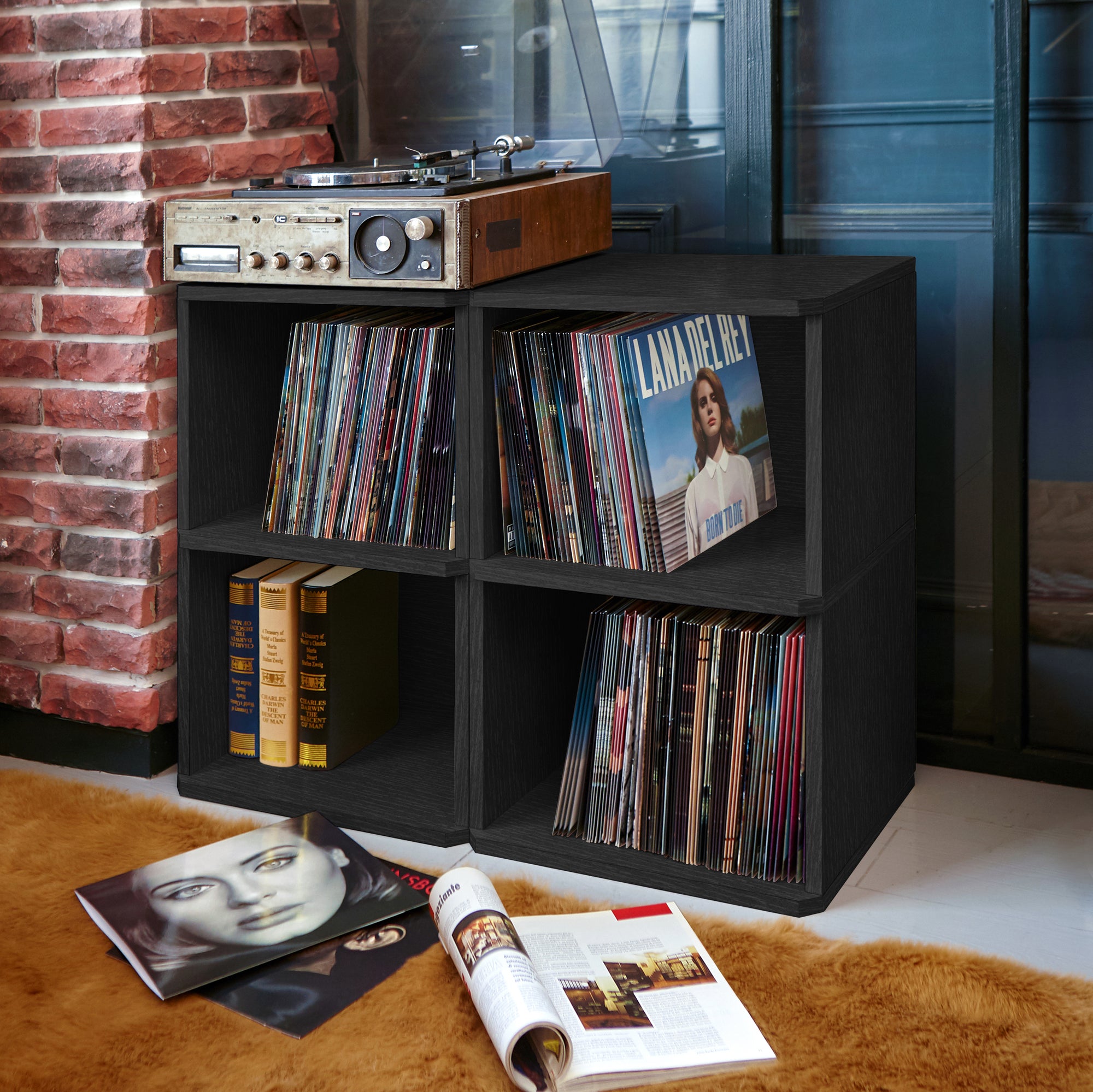 record vinyl storage