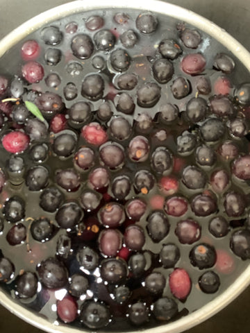 Washing just picked black olives