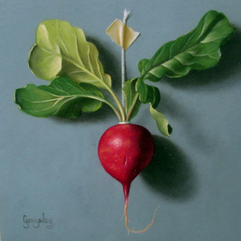 hanging radish painting