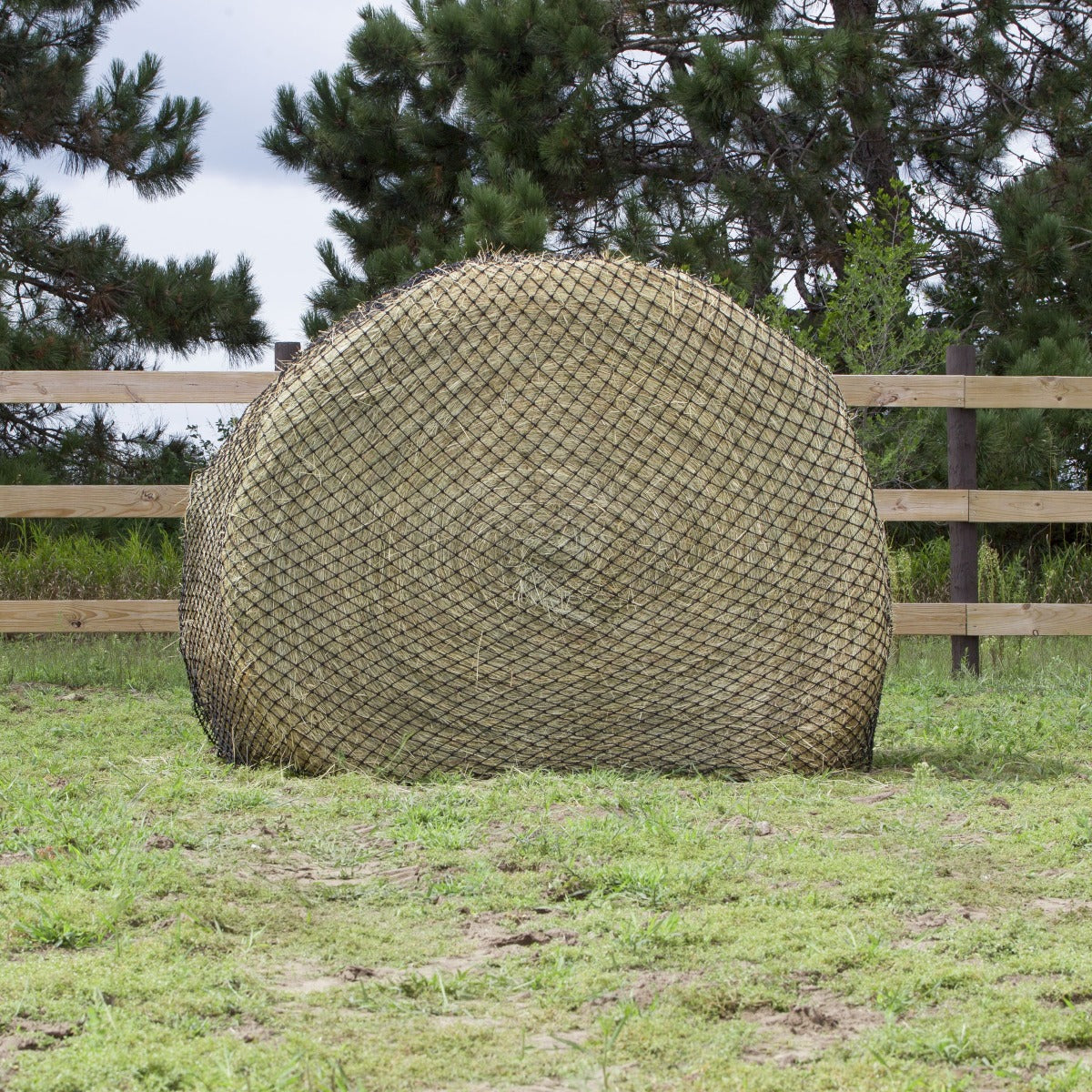 USED Hay Chix® Large Bale Net - 5'   "The Goldilocks"