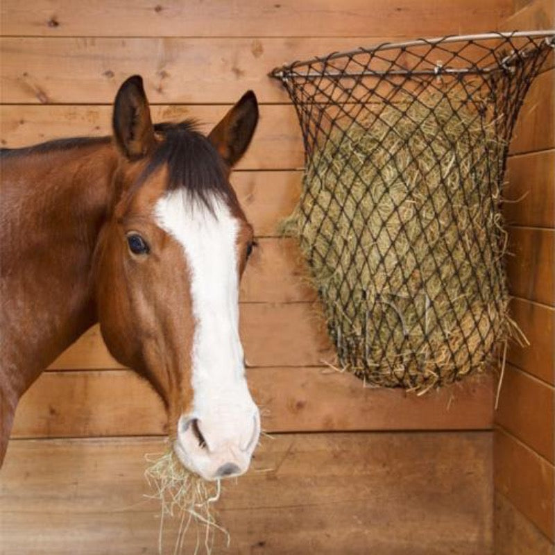 Hay Chix Hay Rack Slow Feed Net + Horses & Livestock