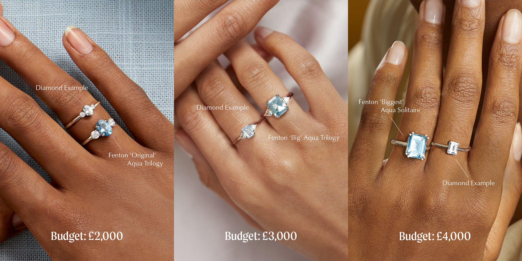 Price comparisons of Fenton engagement rings and Diamond rings