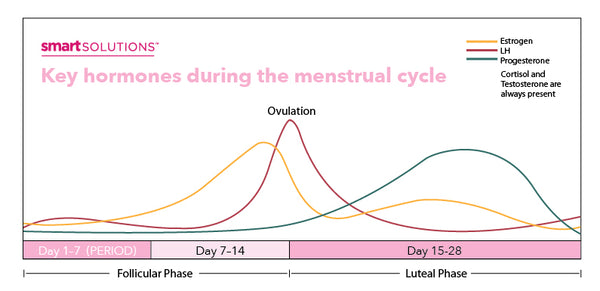 Menstrual Cycle - Women's Health Issues - Merck Manuals Consumer Version