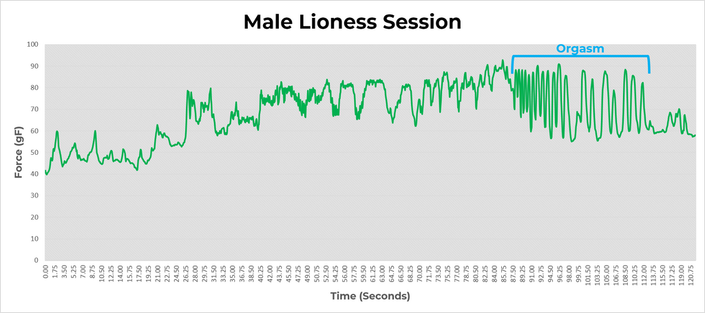 Male lioness session - masturbation orgasm data