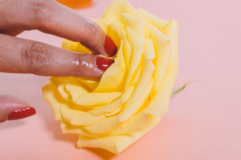Fingers on rose