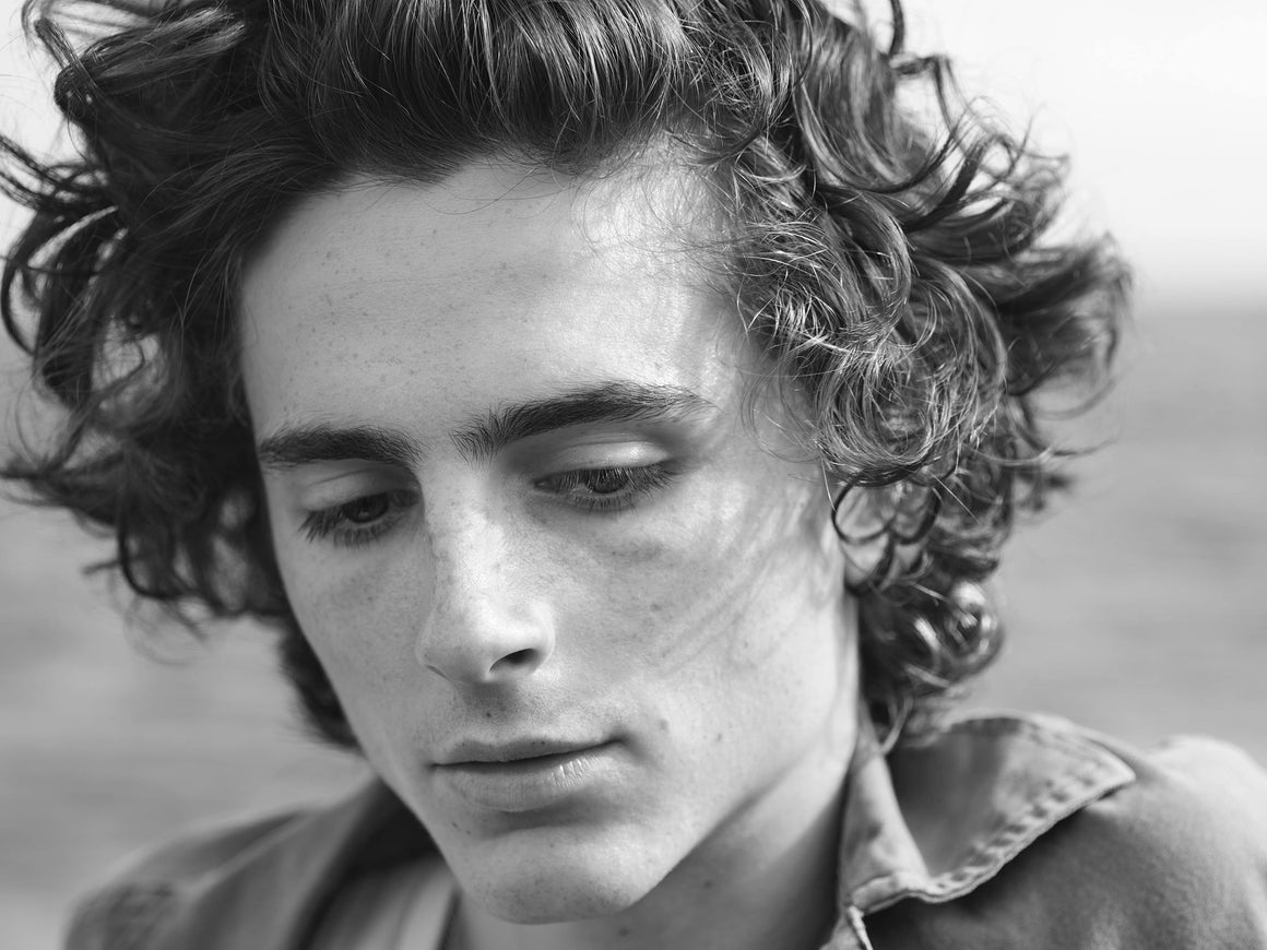 TIMOTHEE CHALAMET CALL ME BY YOUR NAME US GQ MAGAZINE MARCH 2018