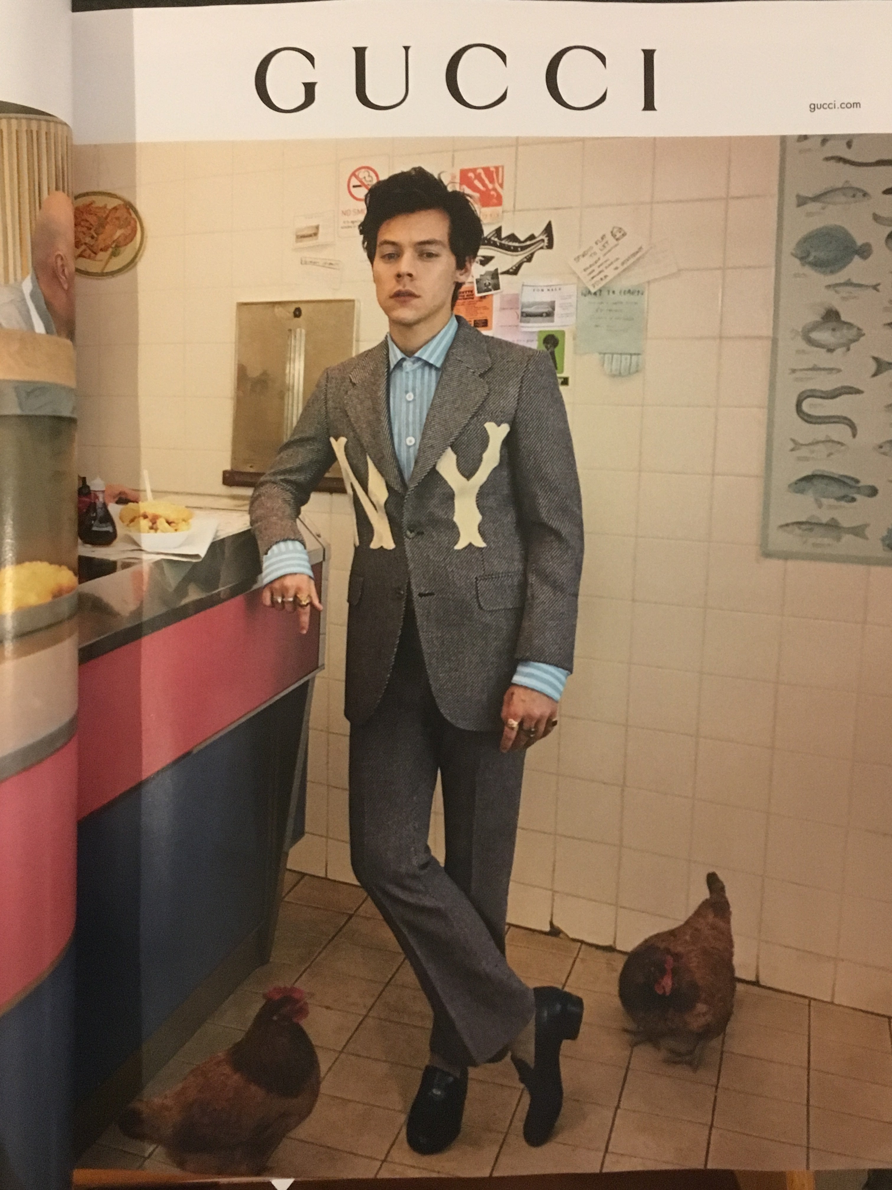 harry styles gucci ad