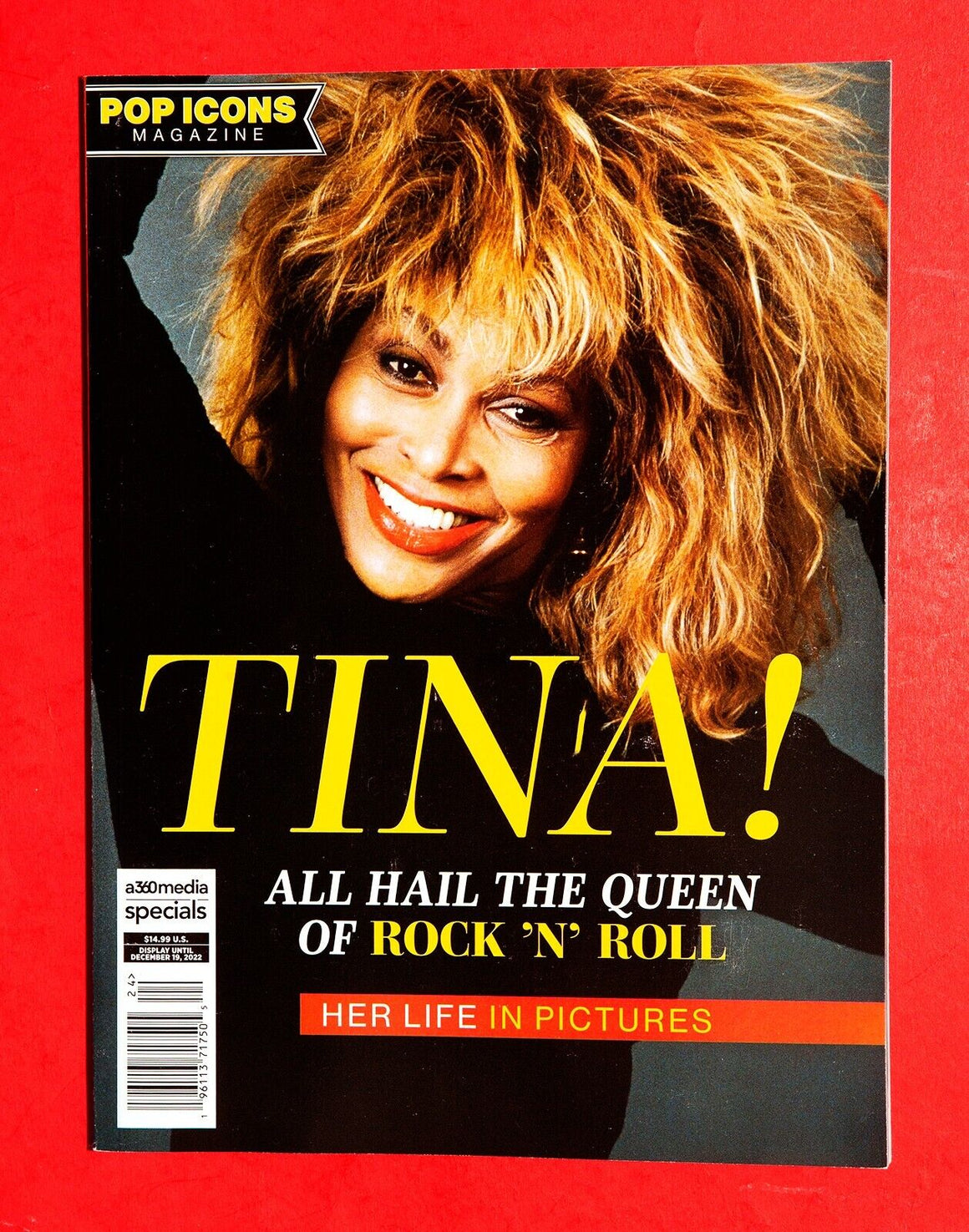 SAGA magazine February 2009 TINA TURNER PHOTO COVER INTERVIEW DAVID