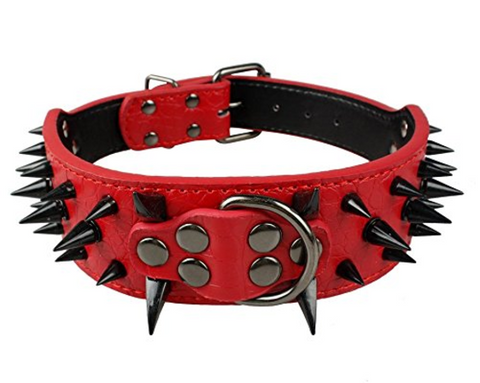 Top 25 Best Fashion Dog Collar Products 