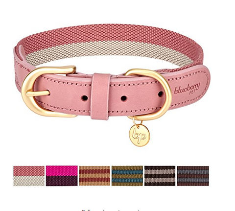 cute leather dog collars