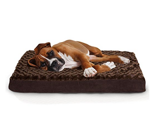 cheap dog beds for sale