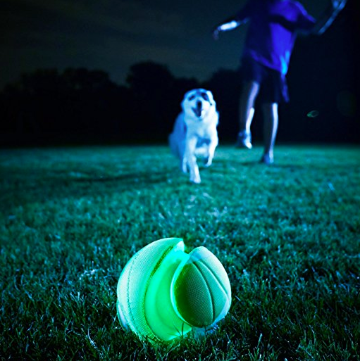 glow in the dark balls for dogs