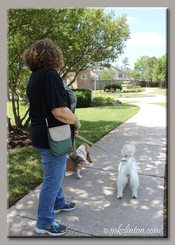 Melissa (aka Barking from the Bayou) takes WoofPack for a stroll with expert testers Bentley and Pierre!