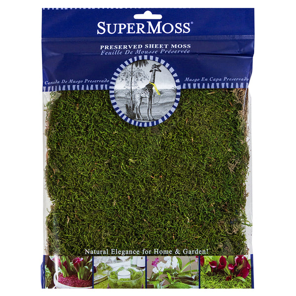 download sheet moss for free