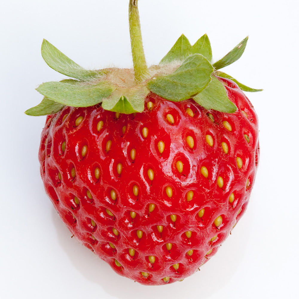 Small fruit. 6 Клубник. Pikabu Strawberry. Small Fruits. Strawberry Bear Alpha.